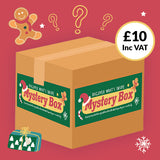 Christmas Mystery Box