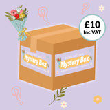 Mother's Day Mystery Box