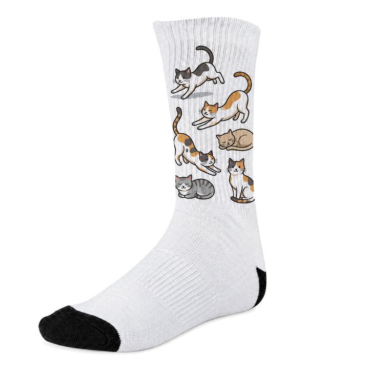 Sports socks for women printed with illustrated cats in poses
